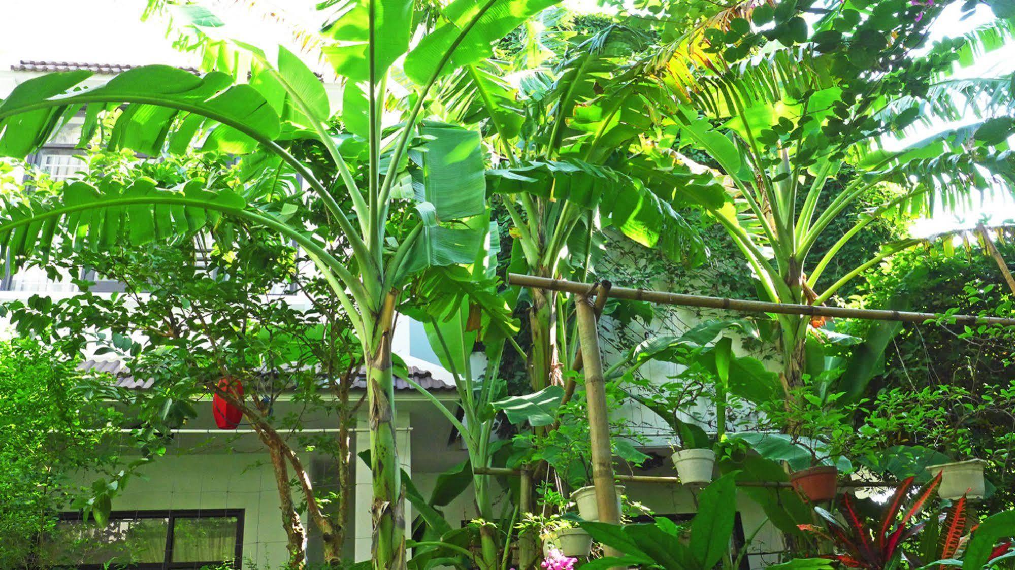 East West Villa Hoi An Eksteriør bilde